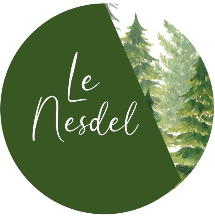 Le Nesdel Apartment Gerardmer